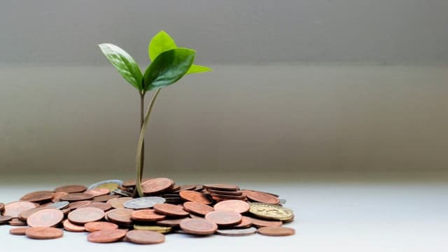 Tiềm năng phát triển tài chính bán lẻ xanh tại Việt Nam