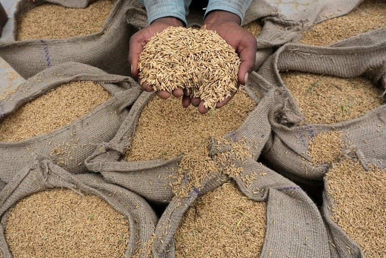 Nhật Bản siết chặt luật dự trữ gạo quốc gia mới nhất