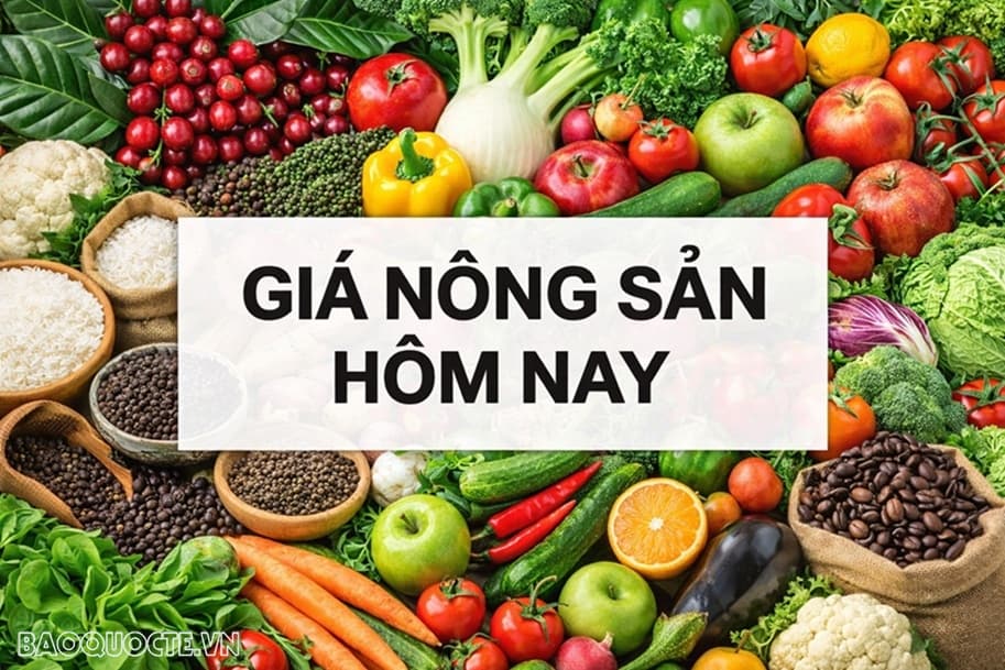 Giá cà phê hôm nay 8/7/2026: Vì sao bất ngờ giảm sốc?